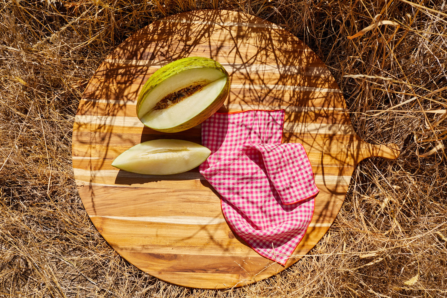 Picnic in the Park Daily Napkins: Organic Cotton